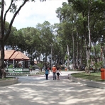 imagem1